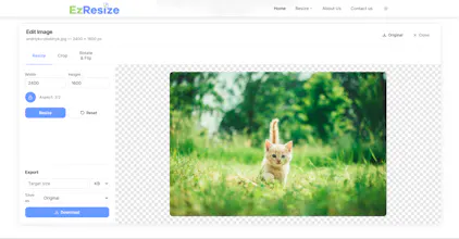 Free Image Resizer Online gallery image