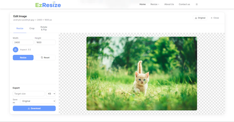 Free Image Resizer Online screenshot 3