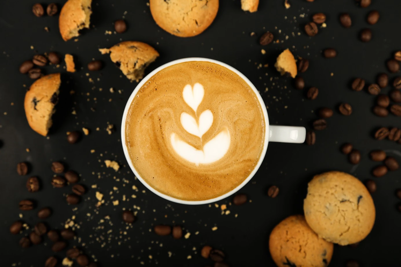  Coffee Gator Coupon Code