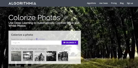 Algorithmia gallery image