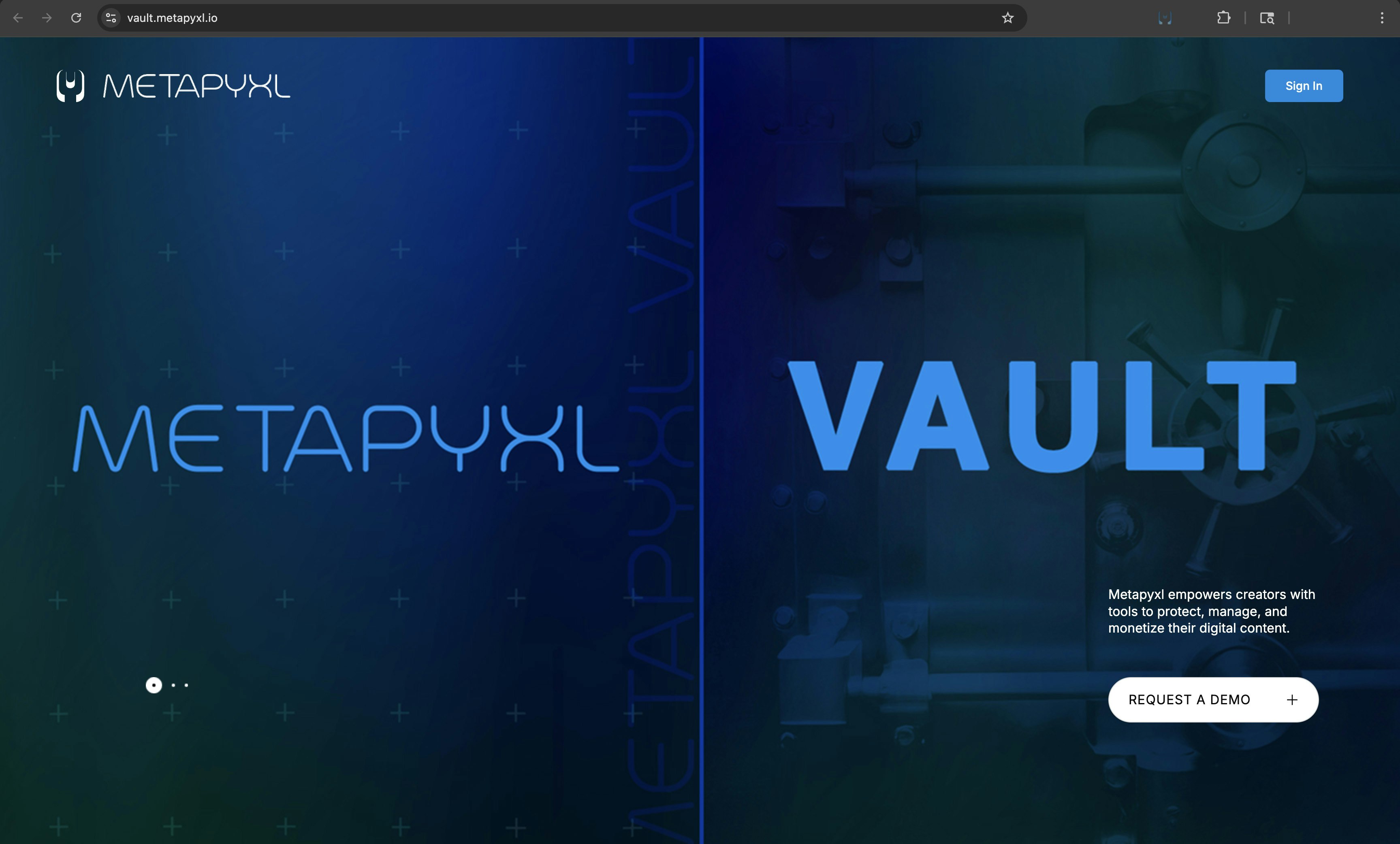 Metapyxl™ - Main product screenshot demonstrating key features and user interface