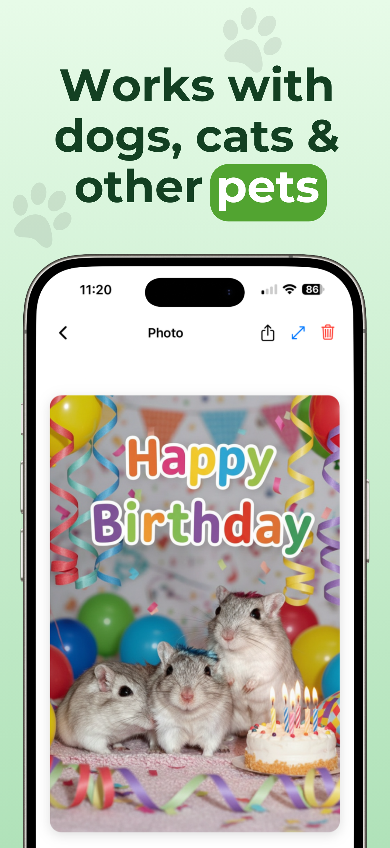 Pawtograph: Pet Photo Editor gallery image