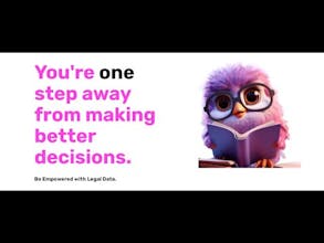 Owlitas AI gallery image