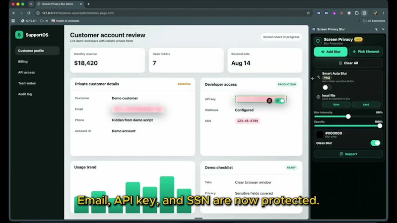 Screen Privacy Blur screenshot 1 (video preview)