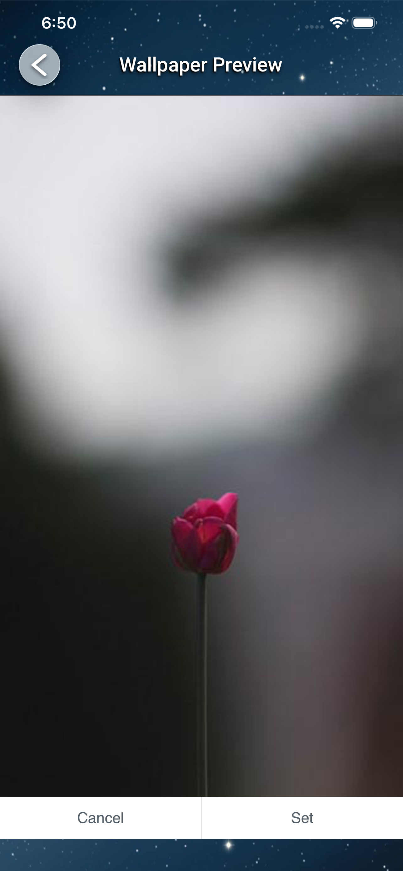 jTranslate gallery image