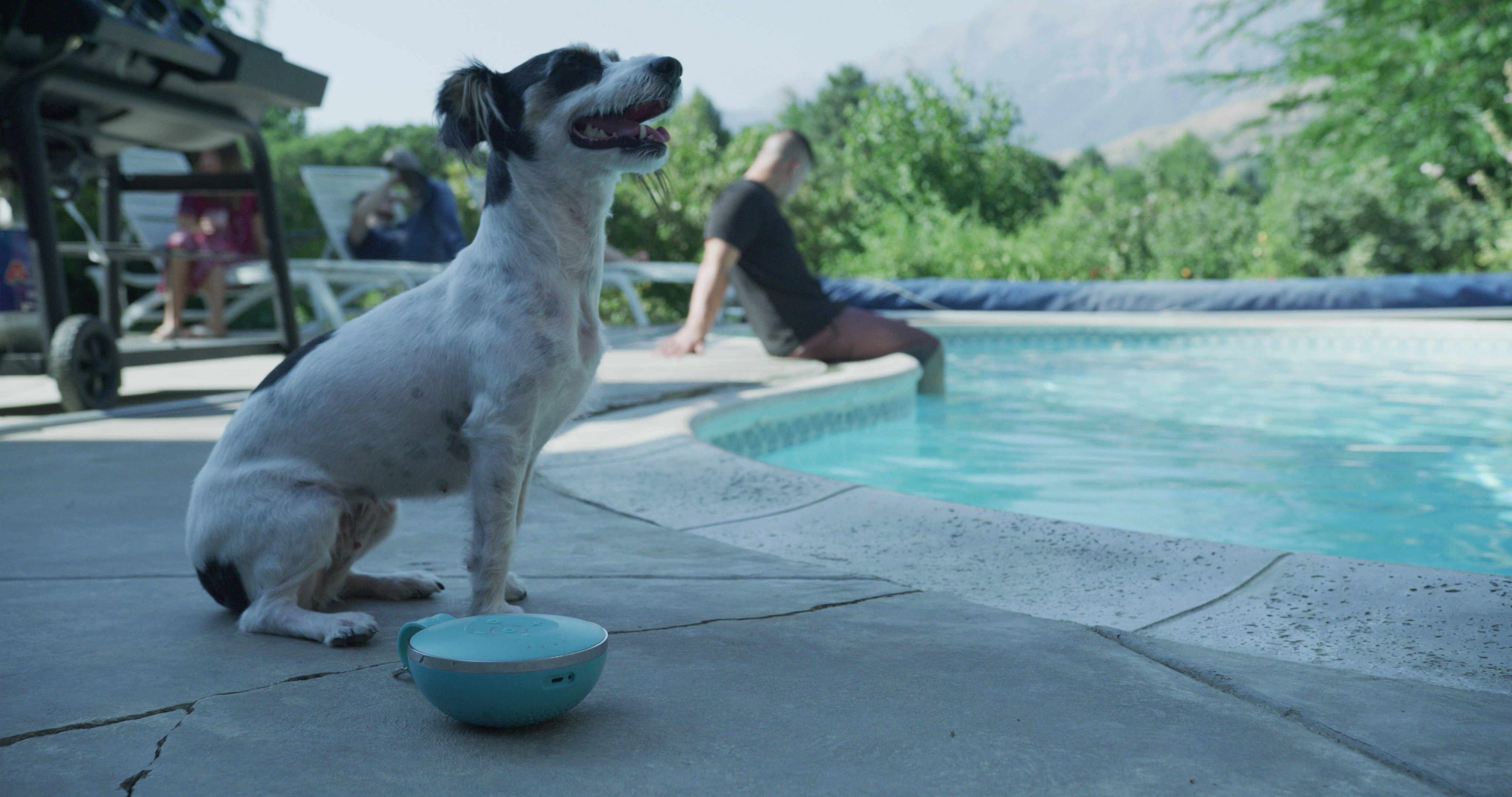 Aqua Dew gallery image