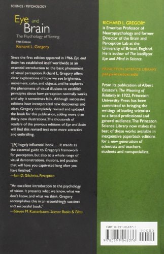 Eye and Brain gallery image