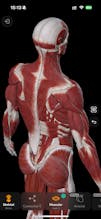 Easy Anatomy 3D gallery image