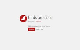 Birds are cool! media 1