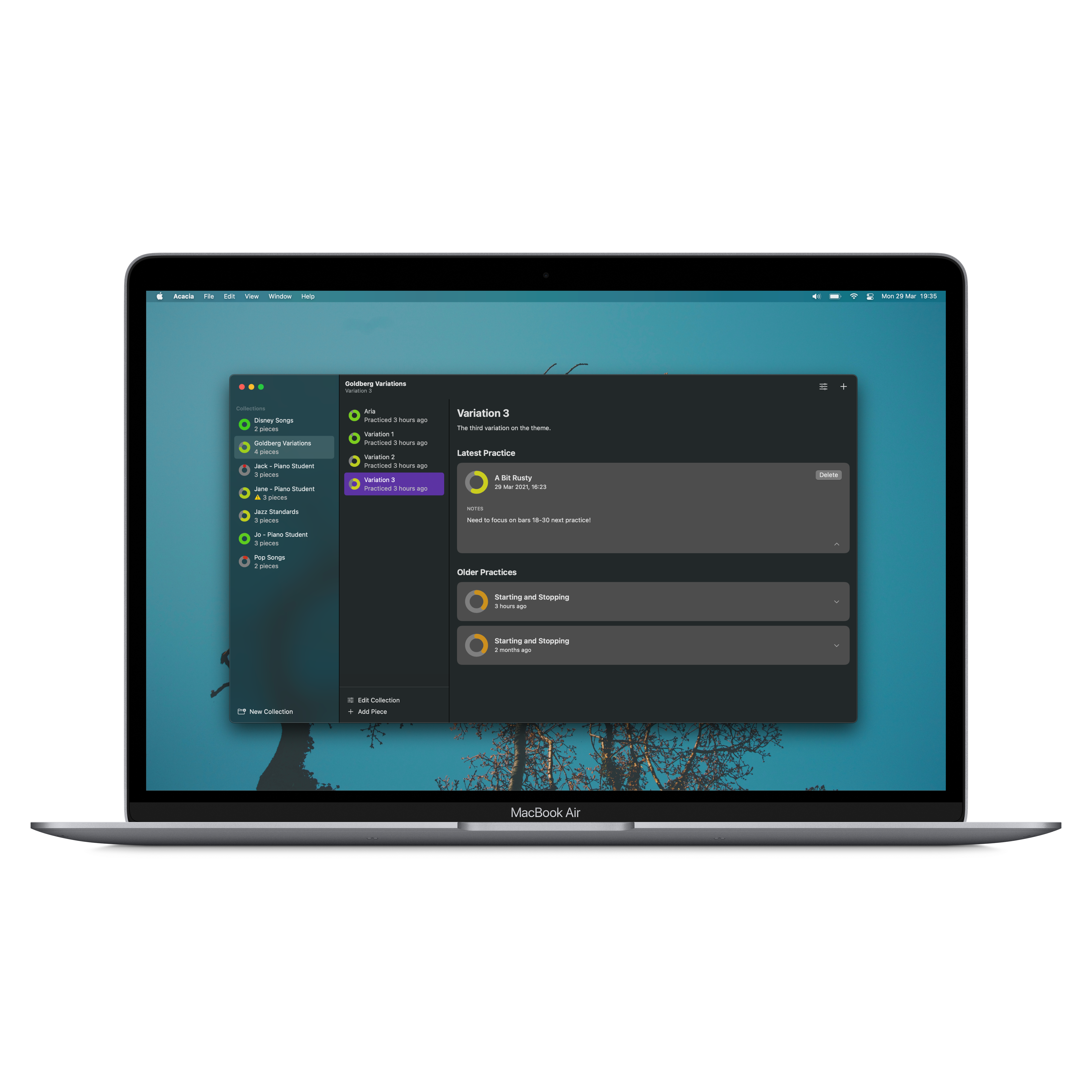 Acacia Practice gallery image