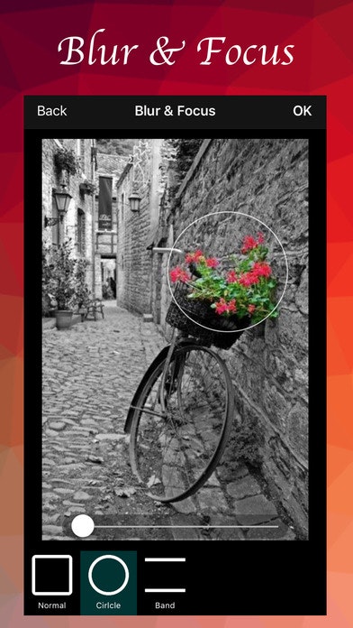 Photo Editor gallery image