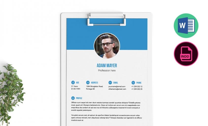 Best Free & Premium Resume Templates gallery image