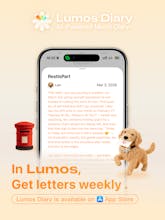 Lumos Diary gallery image