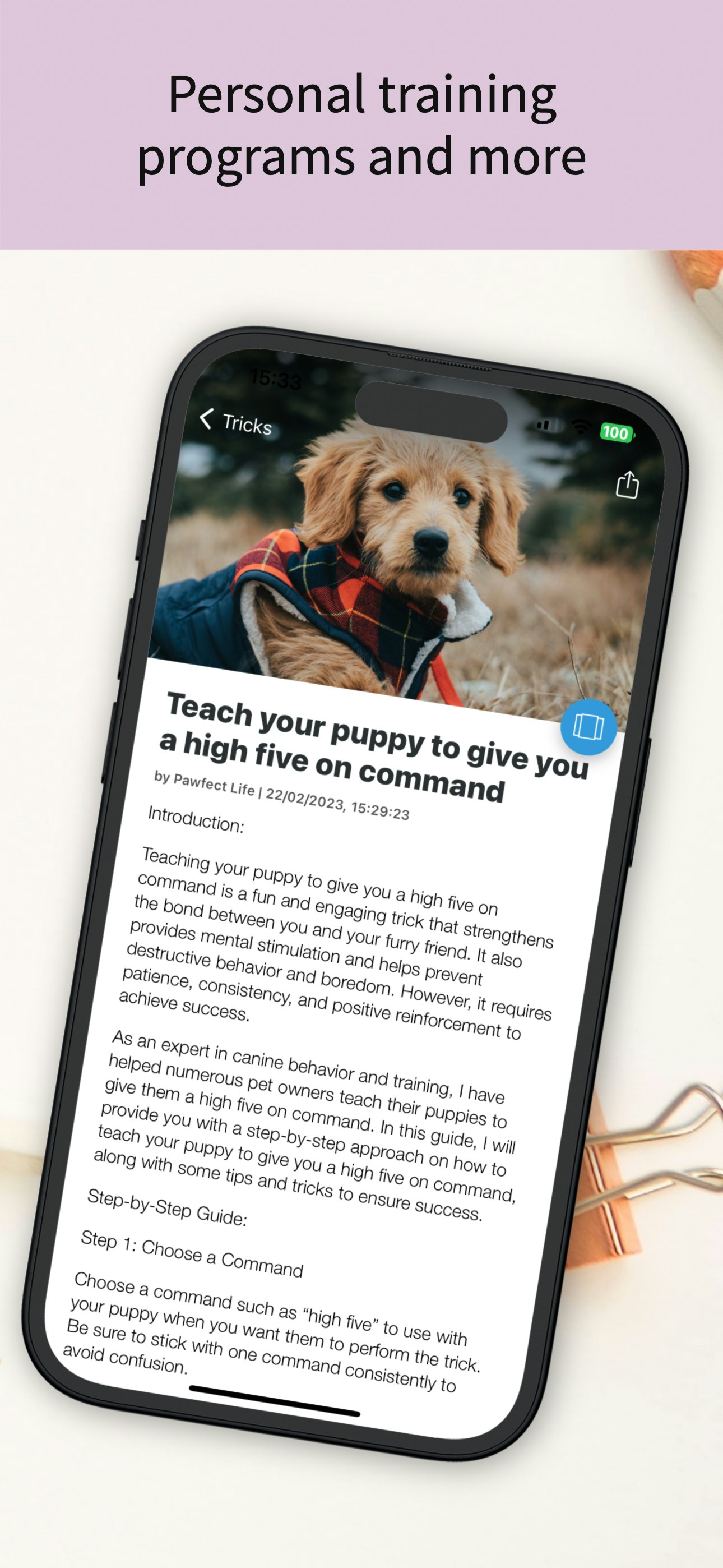 Pawfect Life - Allenamento per cani da cucciolo media 4