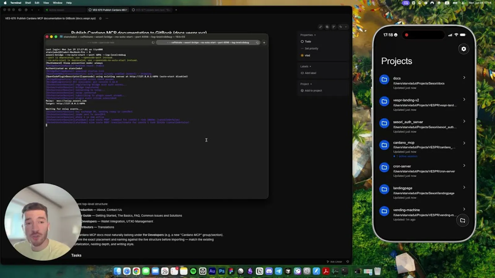 Sesori screenshot 1 (video preview)
