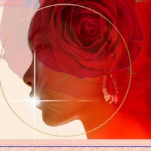 o-cirlce gallery image