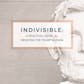 Indivisible Guide