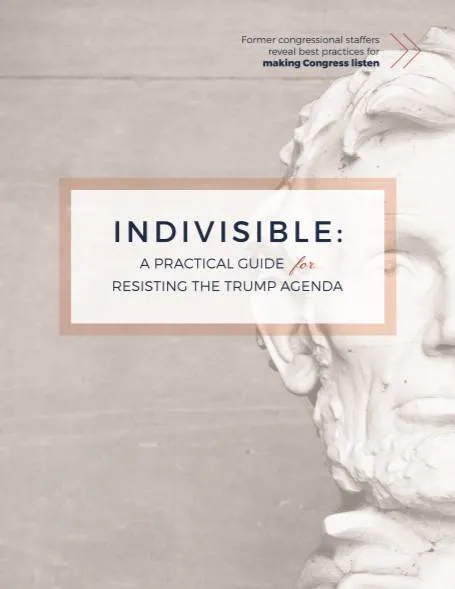 Indivisible Guide
