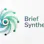 Brief Synthesis