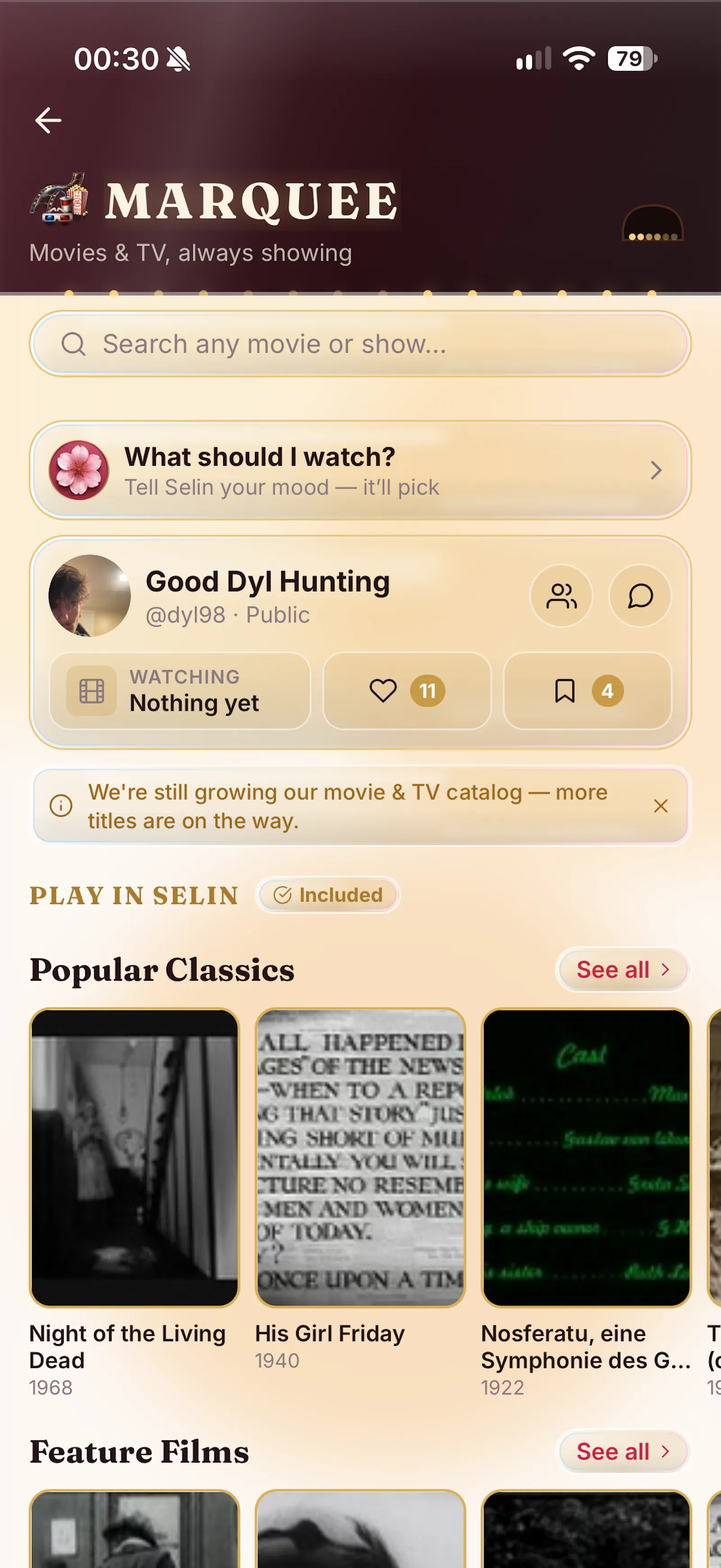 Selin AI screenshot 5