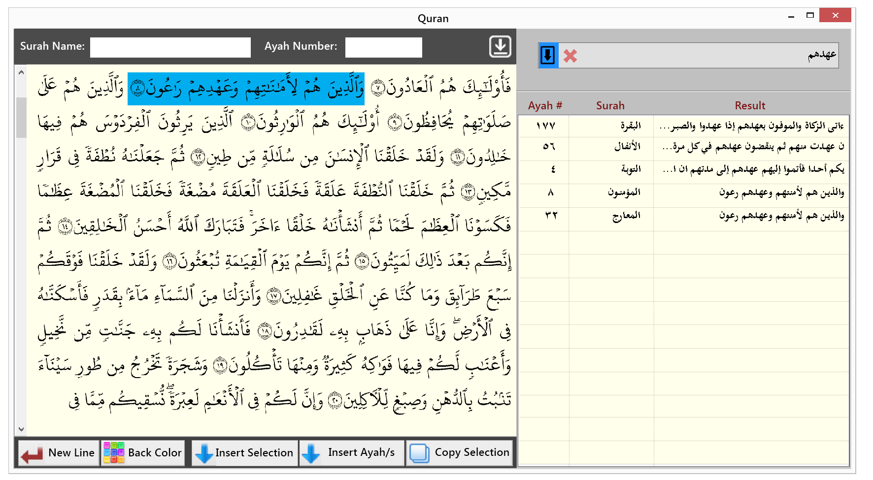 Qur’an Tab in Microsoft Word gallery image