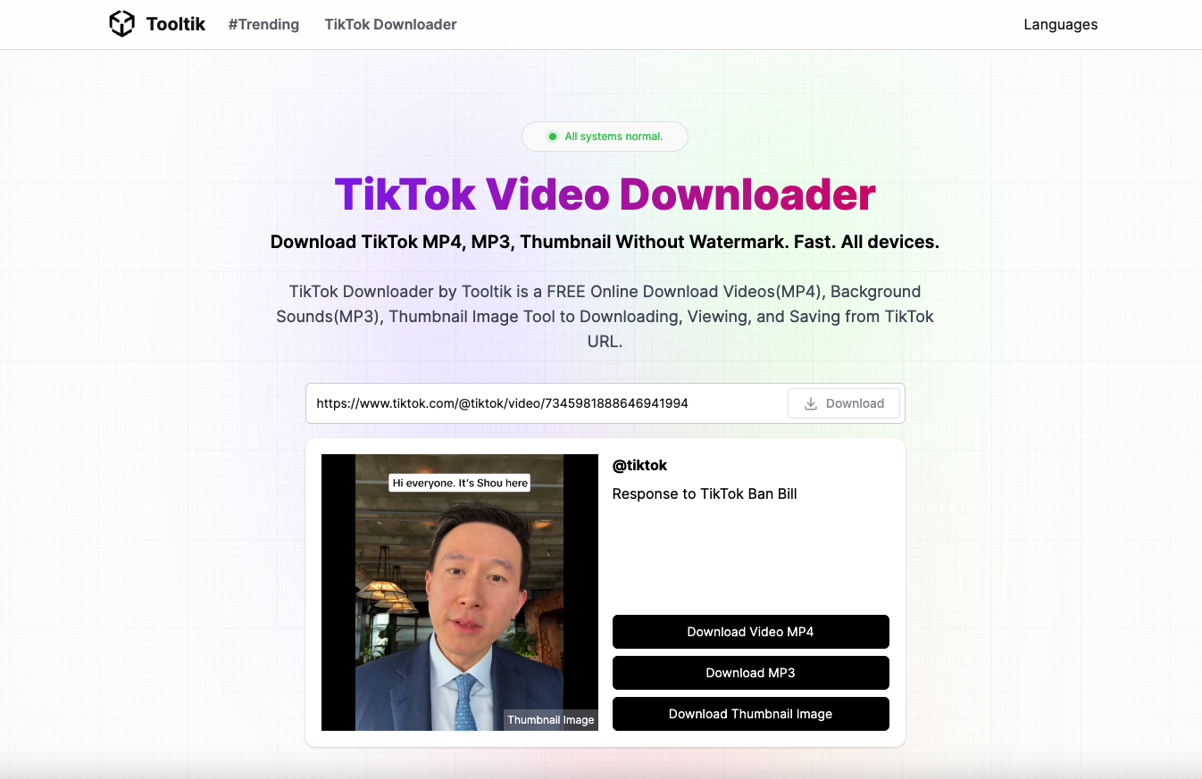 Media Tooltik - Trình tải video Tiktok: Tải xuống Tiktok MP4, MP3, Hình thu nhỏ 2