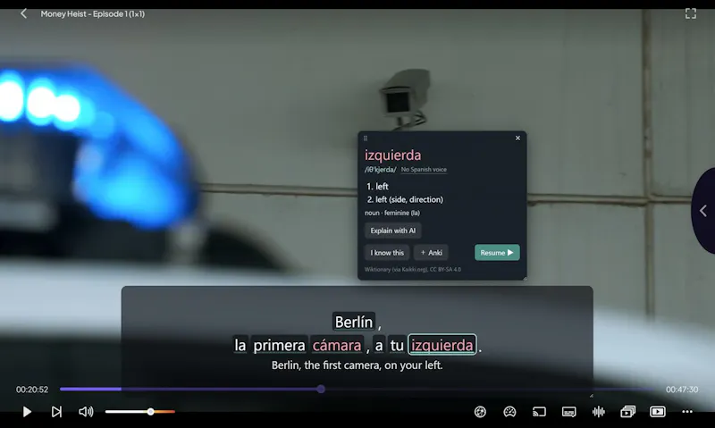 Polyglot Subs screenshot 1
