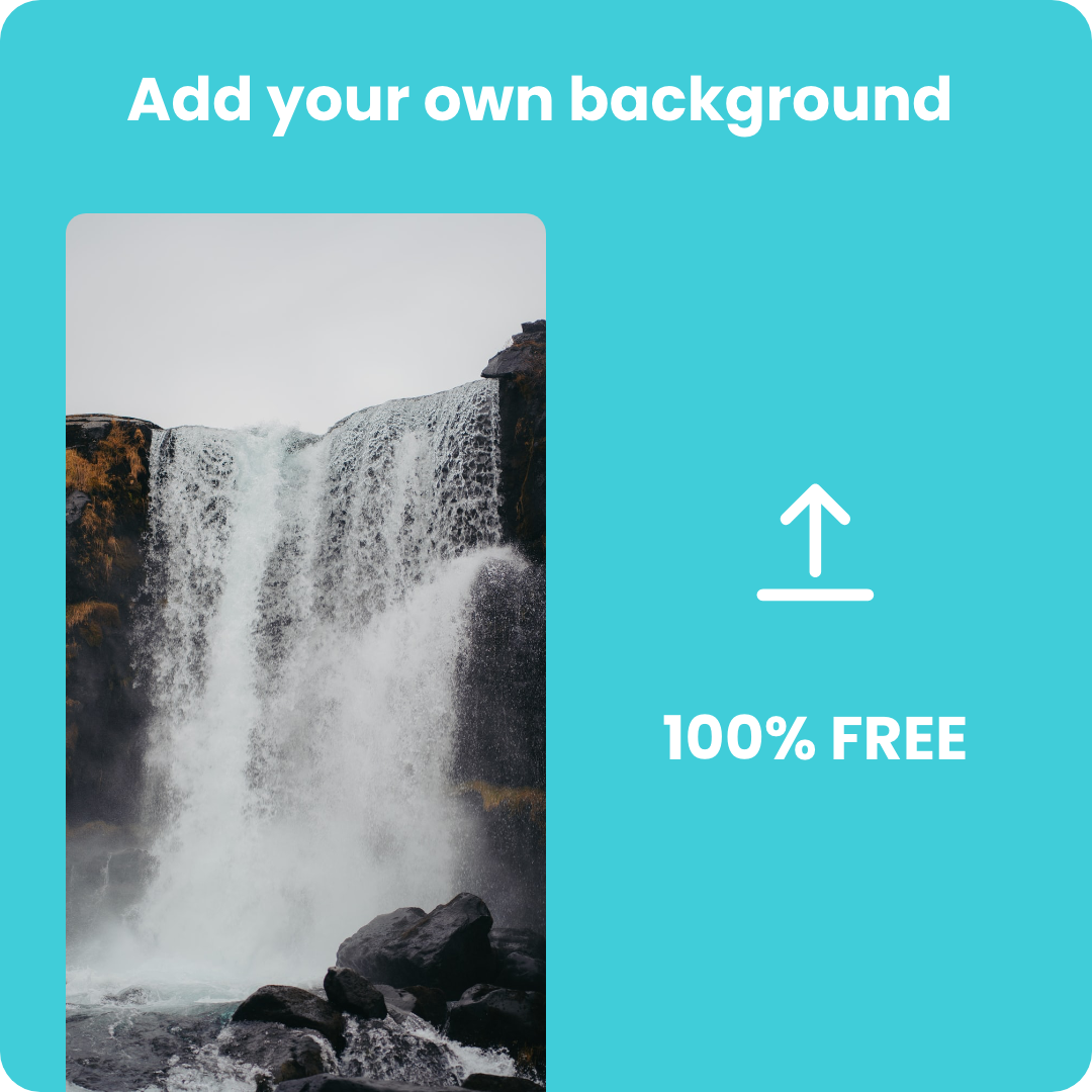 Carrotlink gallery image