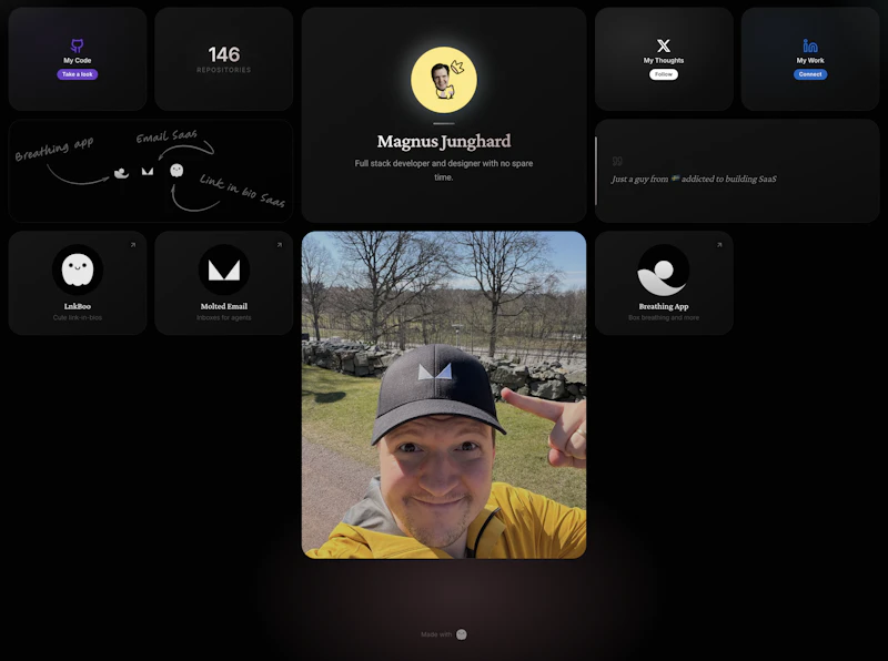 Beautiful bento link in bios screenshot 2