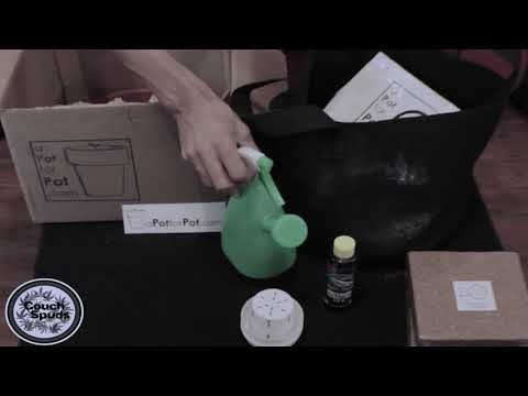 aPotforPot gallery image