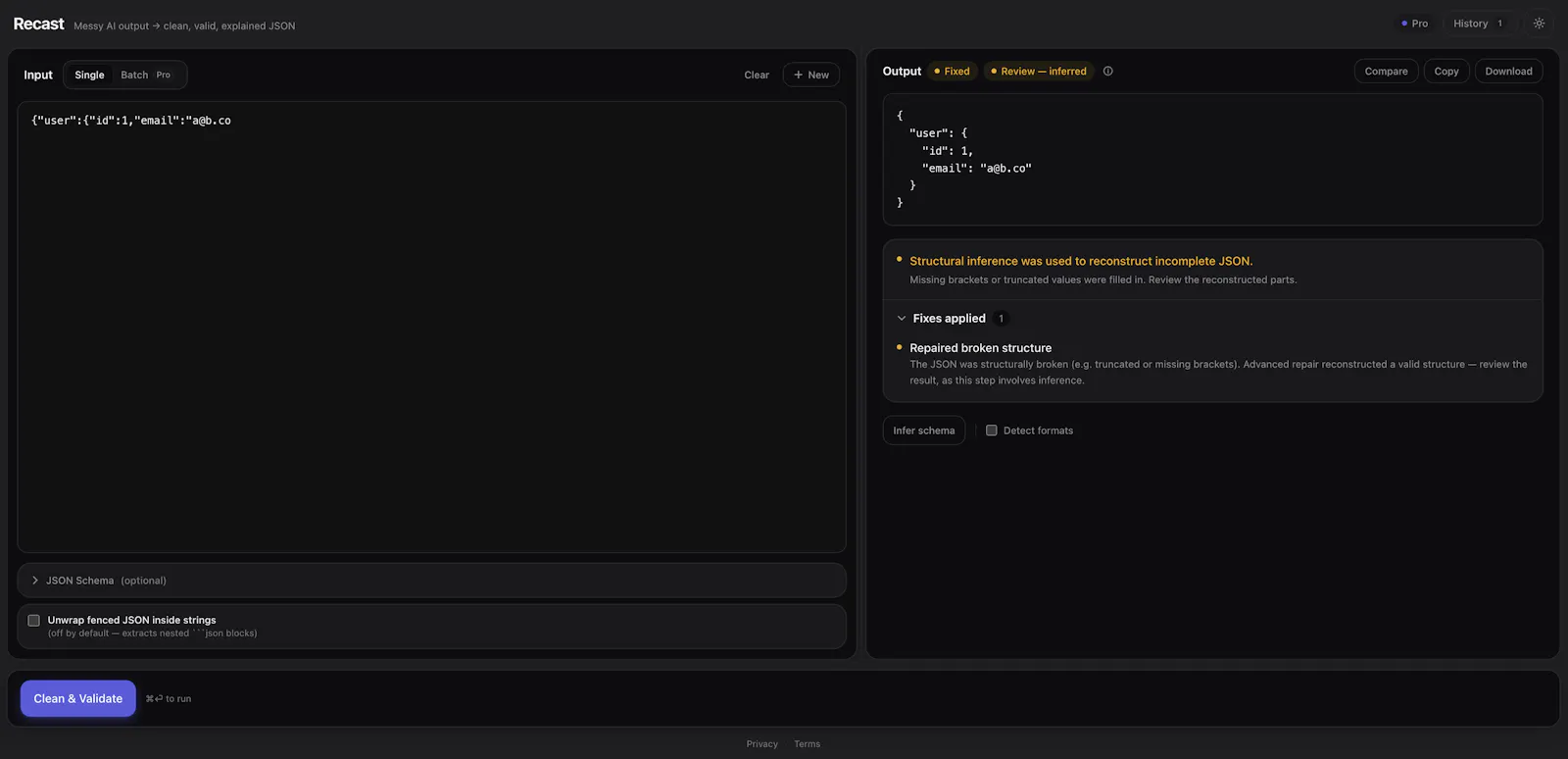Recast Pro screenshot 4