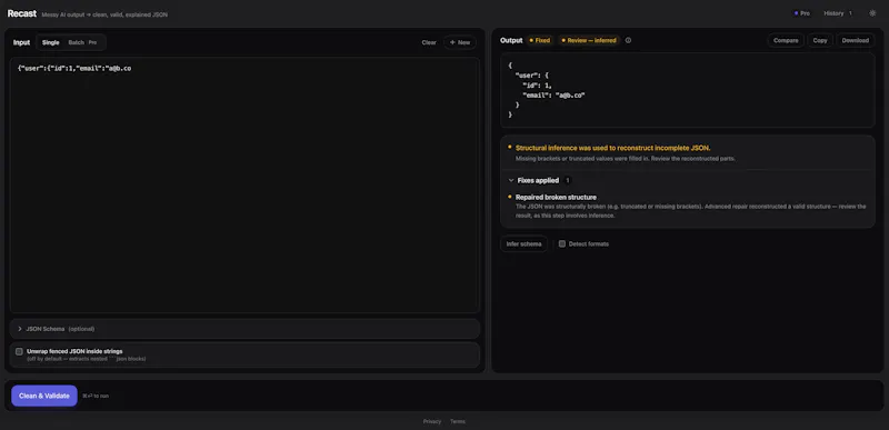 Recast Pro screenshot 4