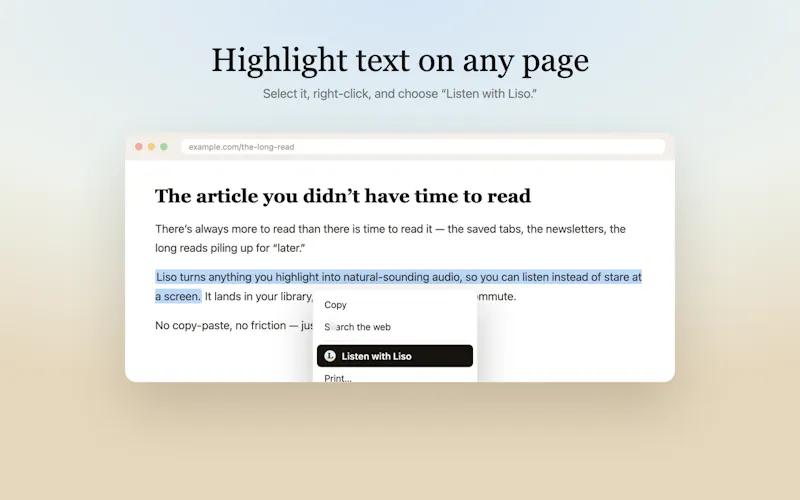 Liso screenshot 3