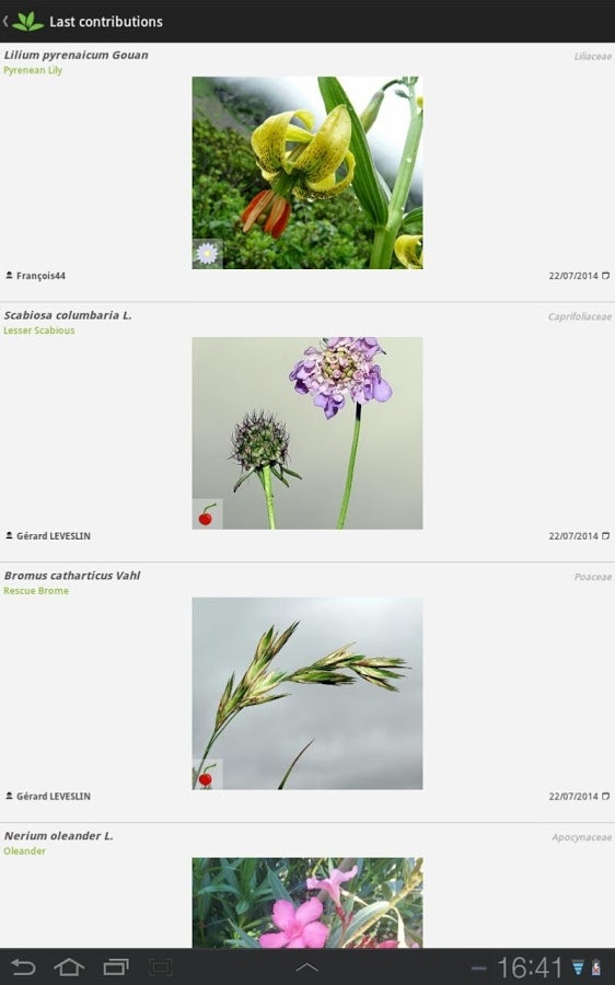 PlantNet gallery image