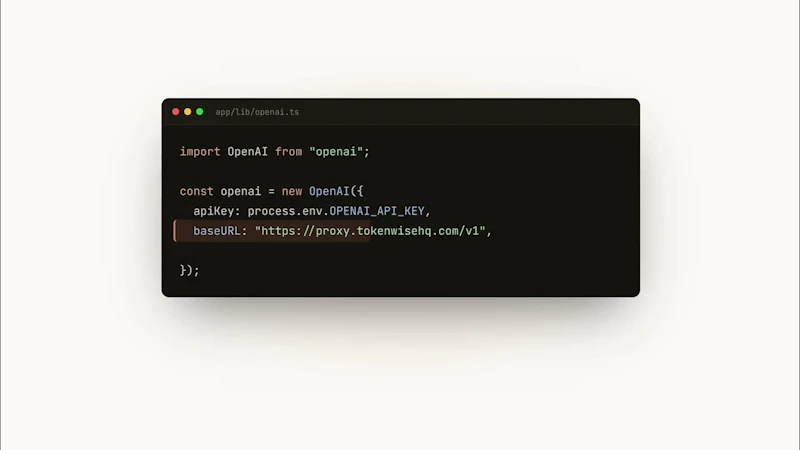 Tokenwise screenshot 1 (video preview)