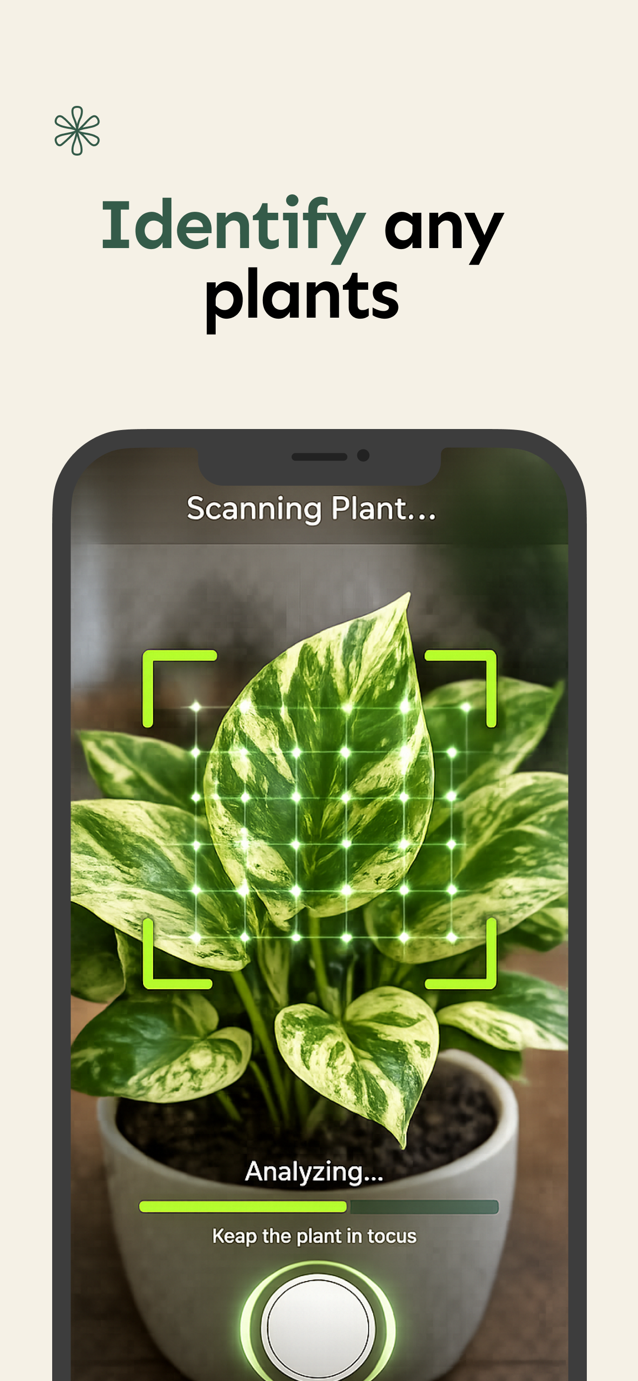 Sprouts: Plant Tracker & Identifier gallery image