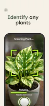 Sprouts: Plant Tracker & Identifier gallery image