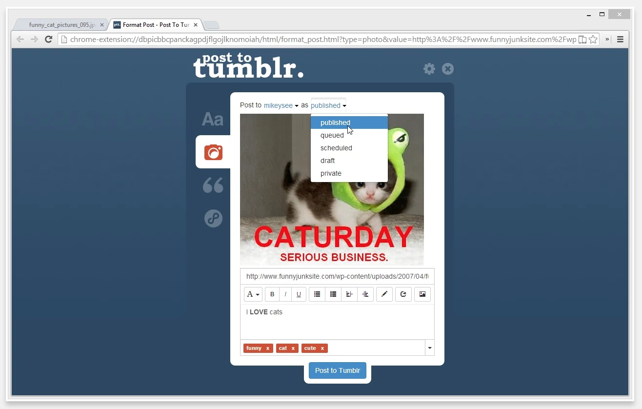 Tumblr, Software