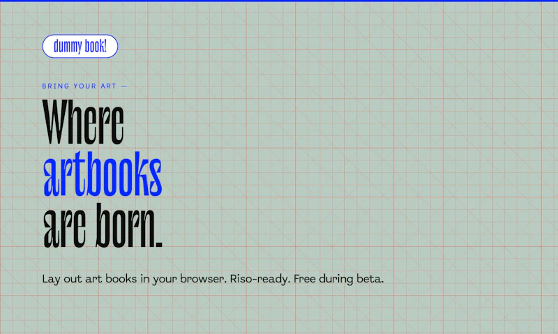 dummy book! screenshot 1