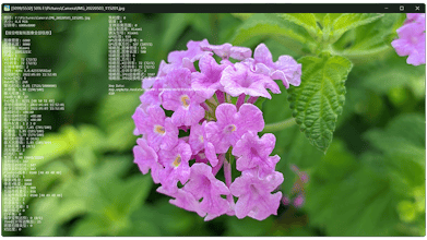 JarkViewer gallery image