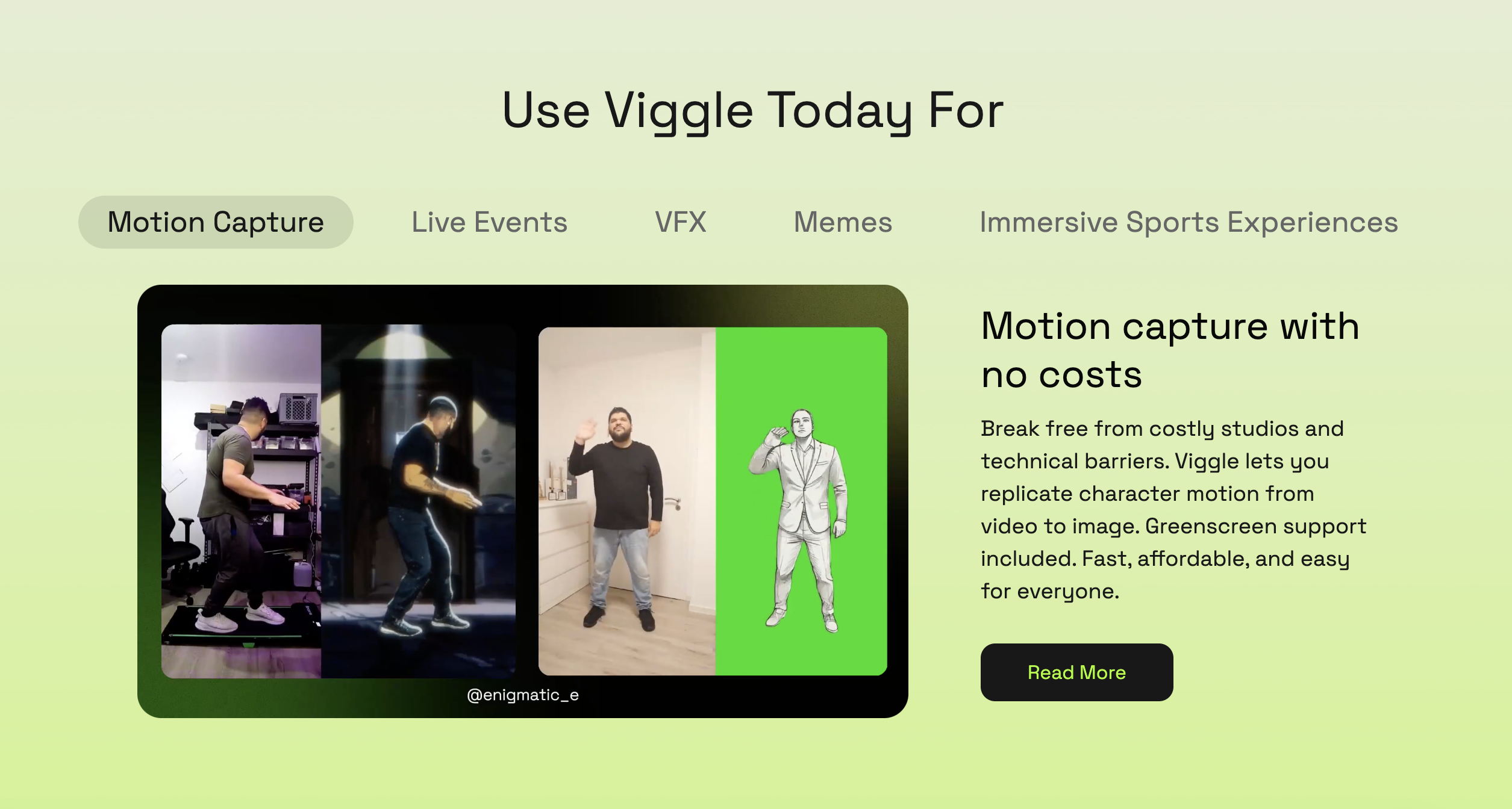 Viggle AI gallery image