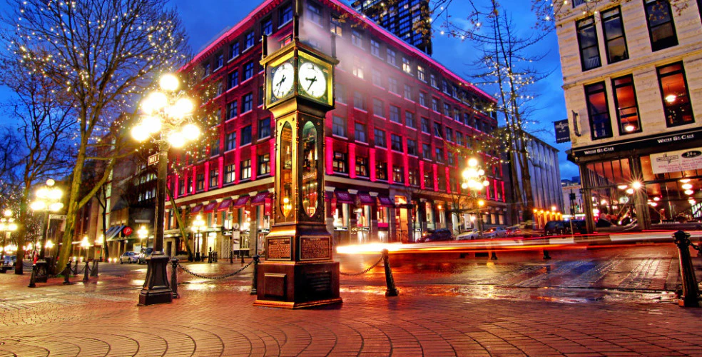 Tracey Chapple cover