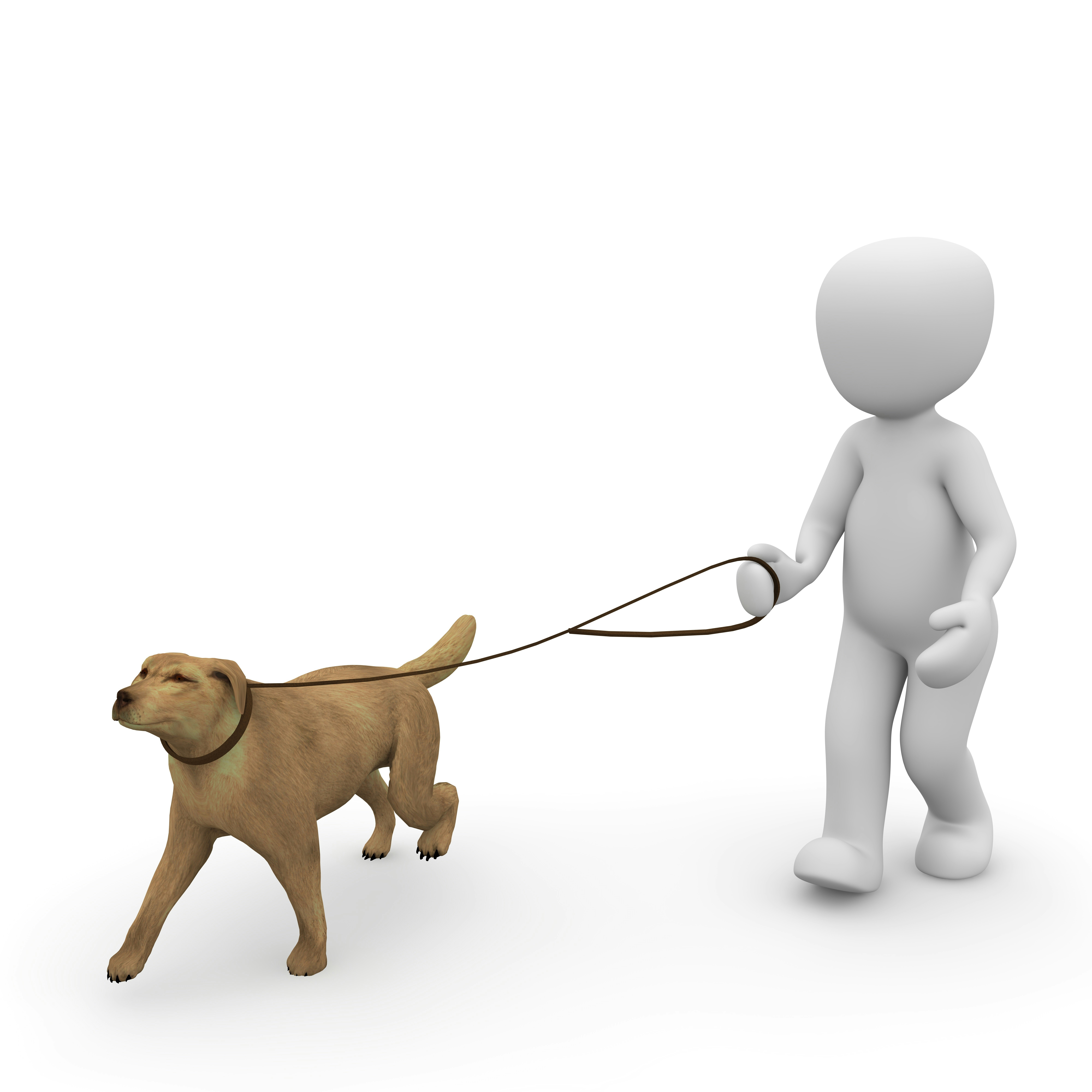 犬用品米国