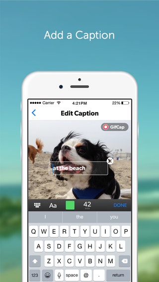 GifCap gallery image