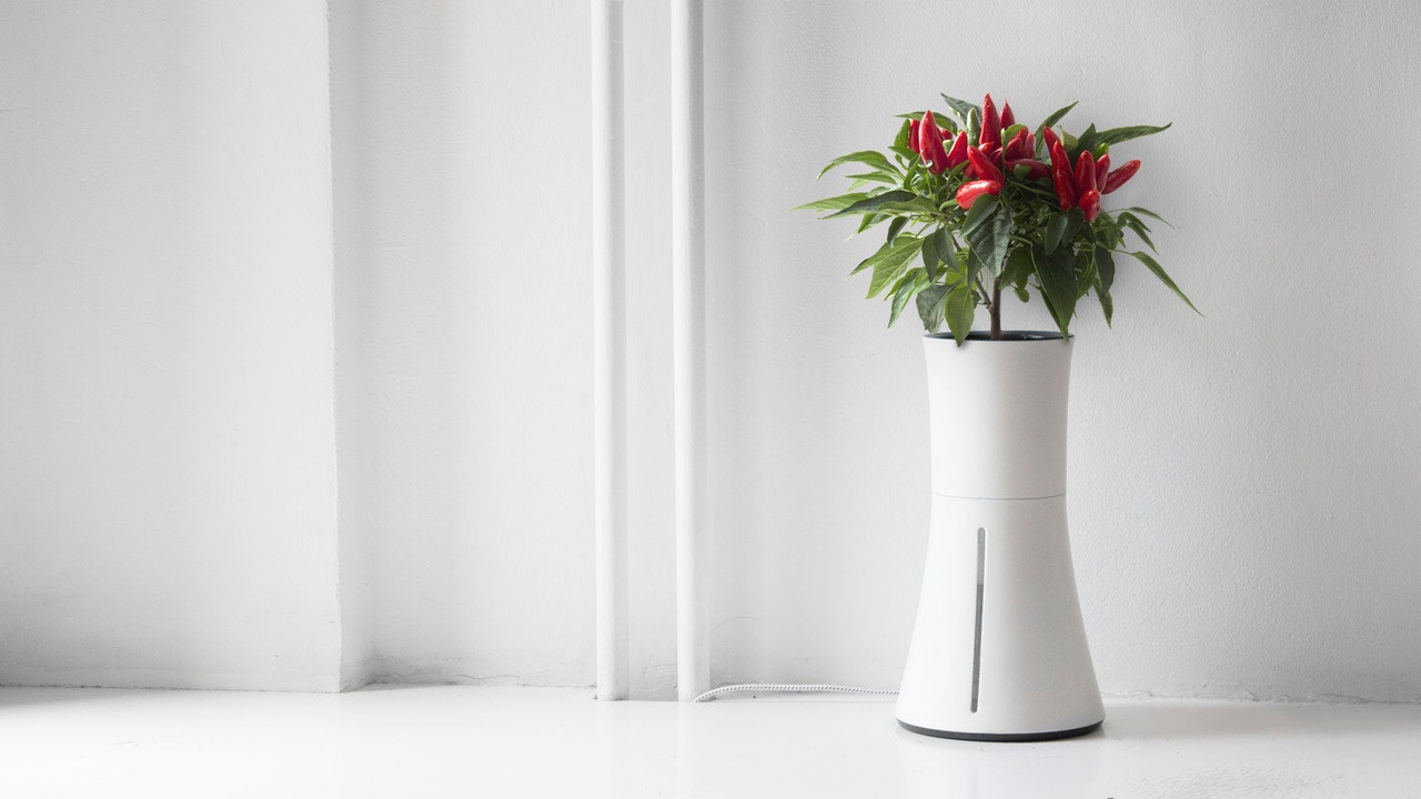 Botanium gallery image