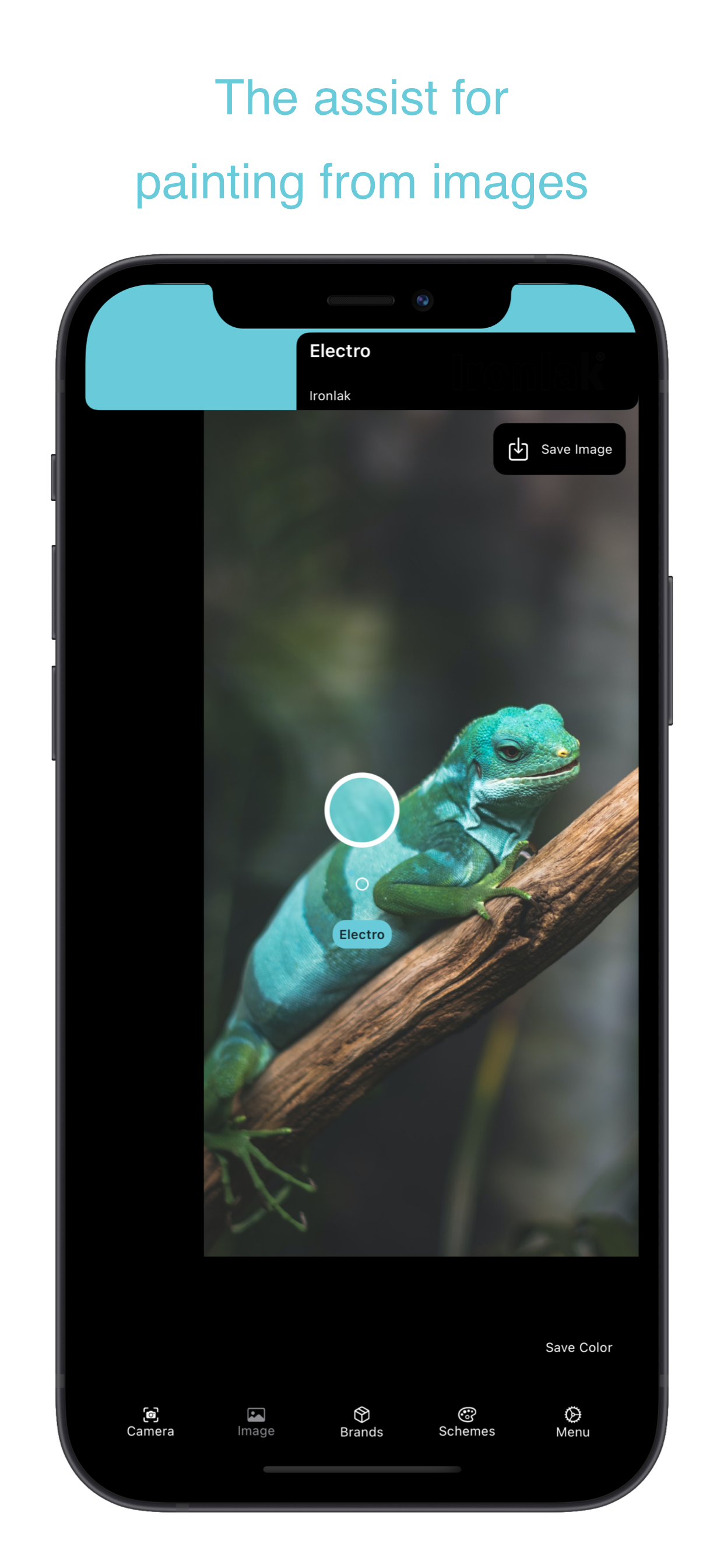 Tintscope gallery image