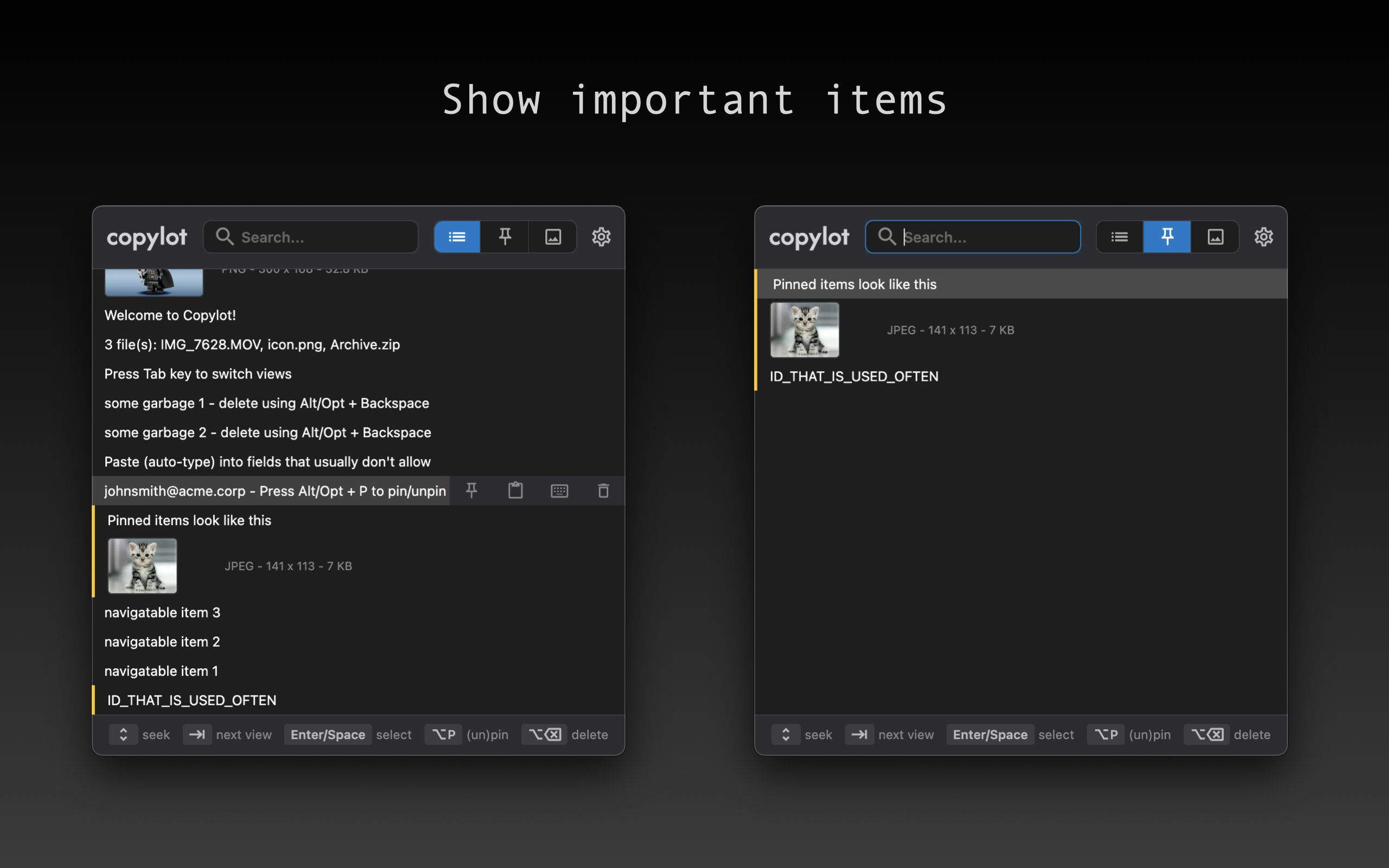 Copylot - Screenshot 3 preview