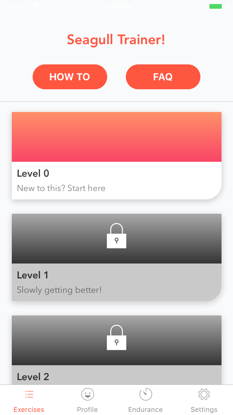Seagull Trainer gallery image