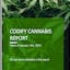 Codify Updates - Weekly Cannabis Report