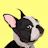 EveryDoggy: Dog Training App
